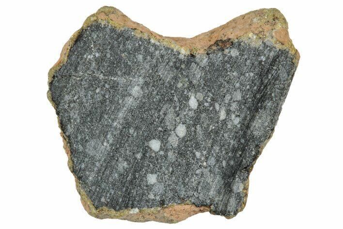 Polished Lunar Meteorite ( g) End Cut Slice - NWA #333161